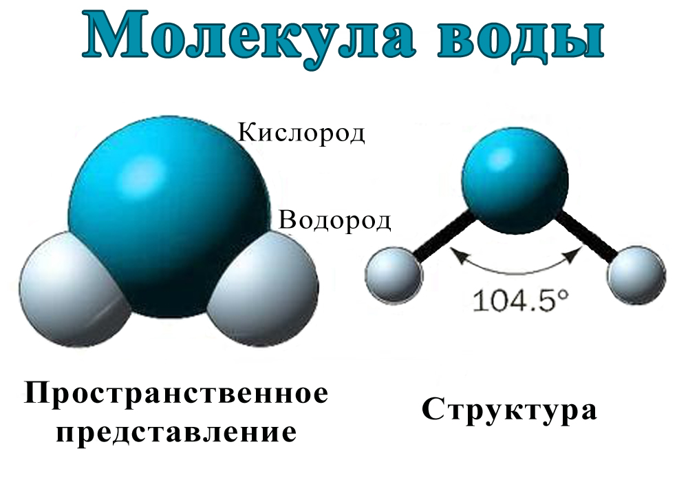 Определите модель молекулы какого вещества изображена на рисунке h2o h2o2